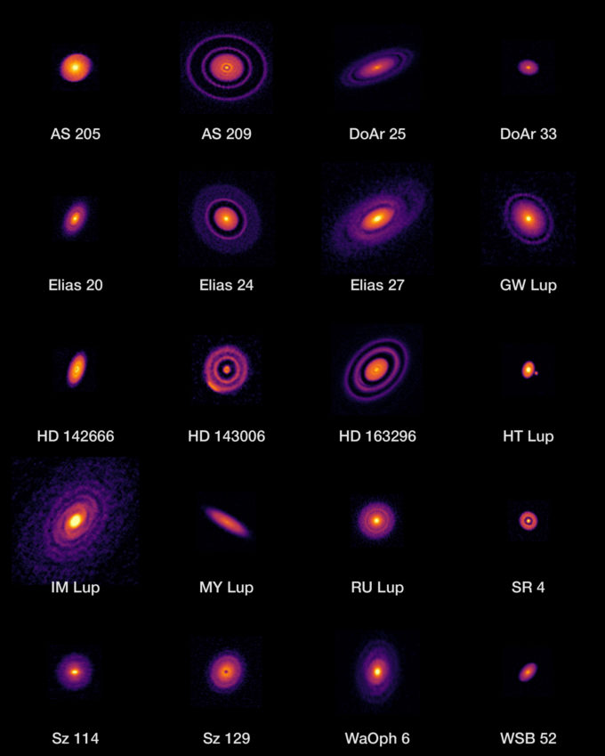 ALMA's high-resolution images of nearby protoplanetary disks, which are results of the Disk Substructures at High Angular Resolution Project (DSHARP). Credit: ALMA (ESO/NAOJ/NRAO), S. Andrews et al.; N. Lira