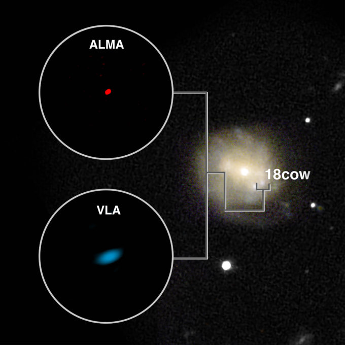 ALMA and VLA images of the mysterious new type of cosmic blast, AT2018cow at left. Visible-light image of outburst in its host galaxy at right. Images not to same scale. Images of the blast itself do not indicate its size, but are the result of its brightness and the characteristics of the telescopes. Credit: Sophia Dagnello, NRAO/AUI/NSF; R. Margutti, W.M. Keck Observatory; Ho, et al.