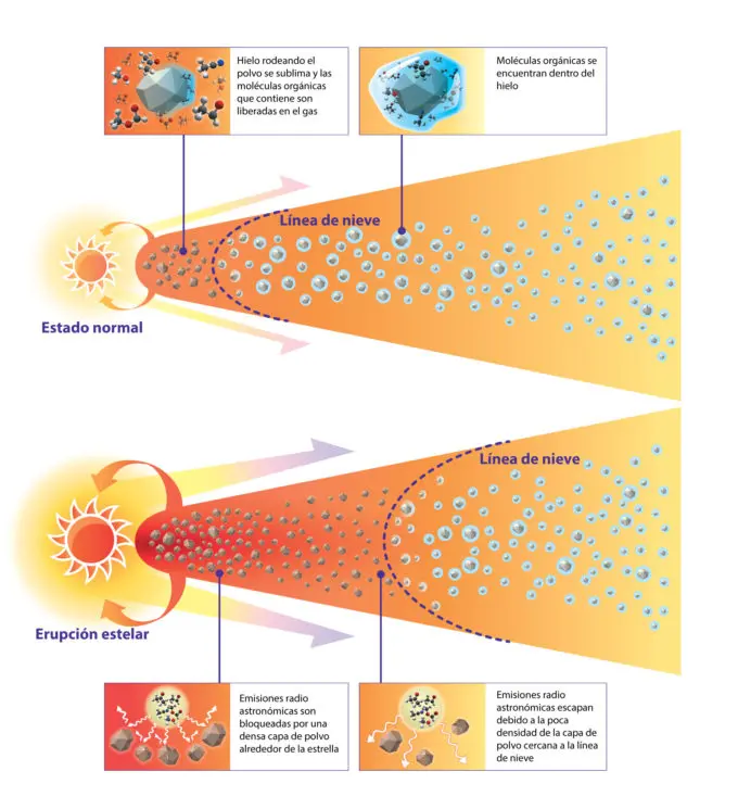 Esquema de la composición de los discos protoplanetarios en estado normal y en fase de erupción. V883 Ori está experimentando una erupción de tipo FU Orionis y el aumento de la temperatura del disco empuja la línea de nieve hacia el exterior, lo que hace que varias moléculas contenidas en el hielo se liberen en el gas. Crédito: Observatorio Astronómico Nacional de Japón.