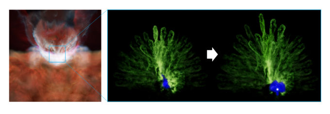 Artist’s impression of the formation process of peacock-shaped clouds. After collision of two clouds (left), complicated filamentary structures with a pivot in the bottom are formed in the boundary region (center), and a massive star is formed in the dense part with ionized region shown in blue (right). Credit: NAOJ