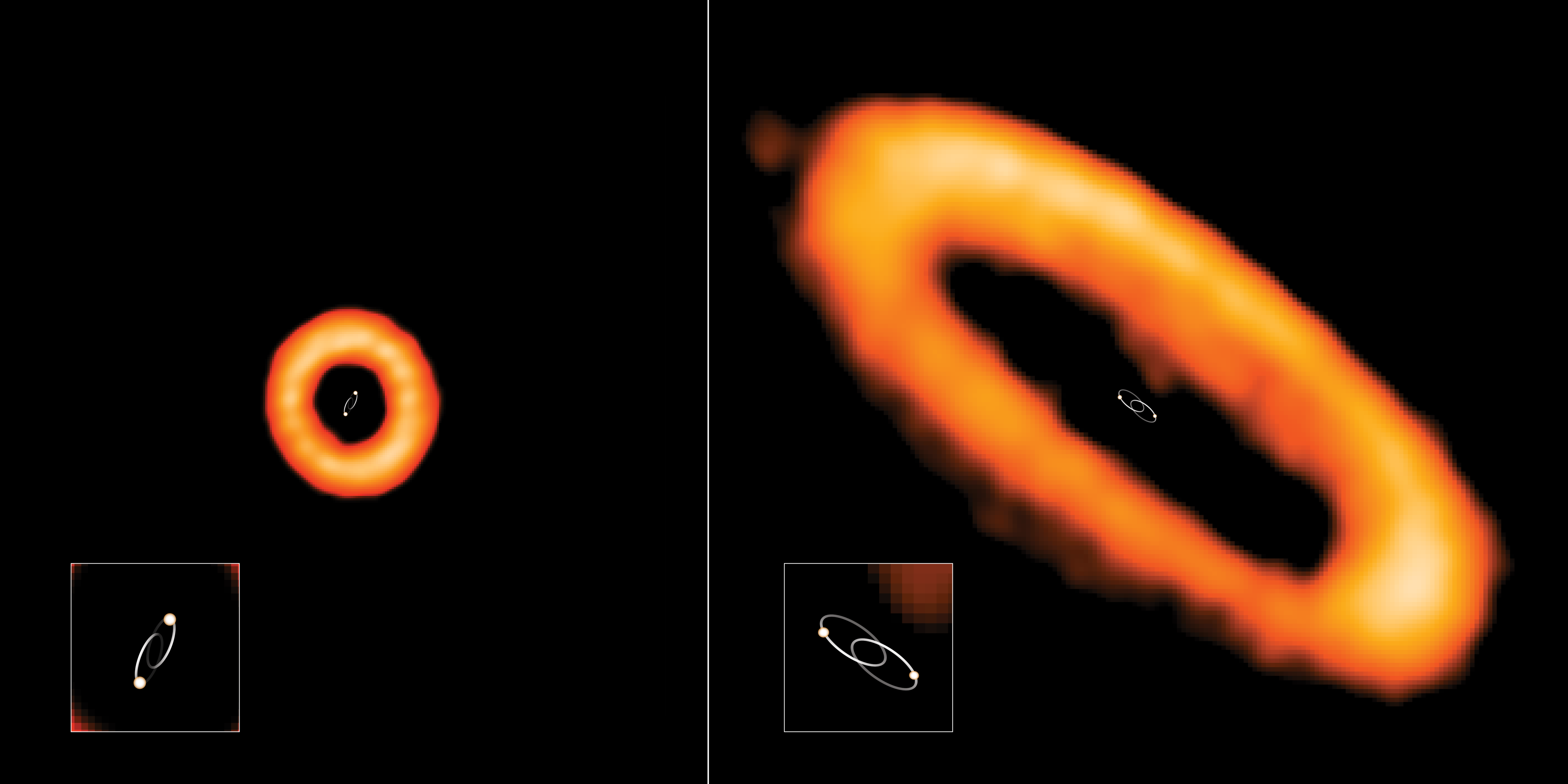 Ejemplos de dos discos protoplanetarios alineados y desalineados alrededor de estrellas binarias (discos protoplanetarios) observados con ALMA. Para facilitar la interpretación se dibujaron las órbitas de las estrellas binarias. Izquierda: en el sistema estelar HD 98800 B, el disco está desalineado con las estrellas binarias. Las estrellas orbitan una alrededor de la otra (en esta imagen, hacia nosotros y alejándose de nosotros) en 315 días. Derecha: en el sistema estelar AK Sco, el disco está alineado con la órbita de sus estrellas binarias. Las estrellas orbitan una alrededor de la otra en 13.6 días. Créditos: ALMA (ESO/NAOJ/NRAO), I. Czekala y G. Kennedy; NRAO/AUI/NSF, S. Dagnello.