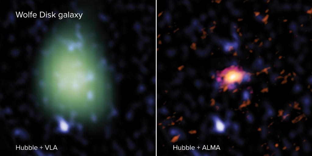 The Wolfe Disk as seen with ALMA (right - in red), VLA (left - in green) and the Hubble Space Telescope (both images - blue). In radio light, ALMA looked at the galaxy’s movements and mass of atomic gas and dust and the VLA measured the amount of molecular mass. In UV-light, Hubble observed massive stars. The VLA image is made in a lower spatial resolution than the ALMA image, and therefore looks larger and more pixelated. Credit: ALMA (ESO/NAOJ/NRAO), M. Neeleman; NRAO/AUI/NSF, S. Dagnello; NASA/ESA Hubble