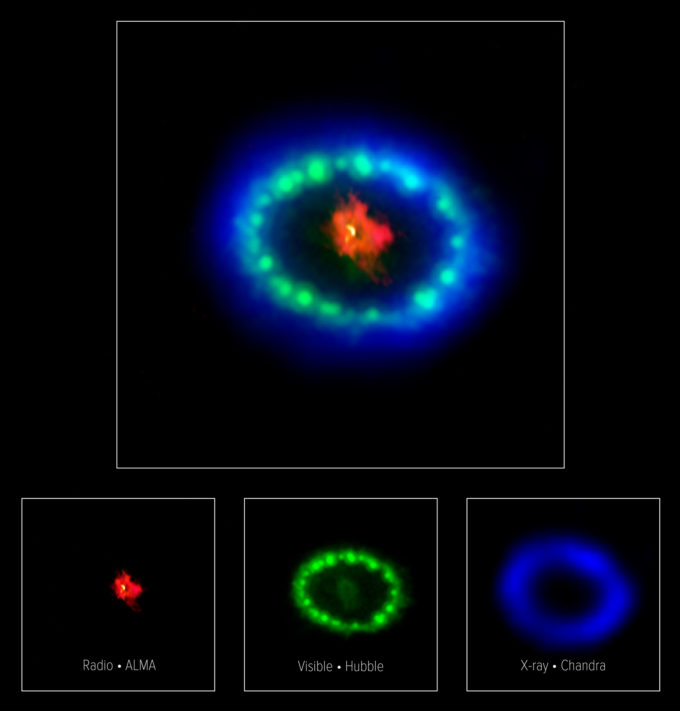 Multiwavelength image of SN1987A - This colorful, multiwavelength image of the intricate remains of Supernova 1987A is produced with data from three different observatories. The red color shows dust and cold gas in the center of the supernova remnant, taken at radio wavelengths with ALMA. The green and blue hues reveal where the expanding shock wave from the exploded star is colliding with a ring of material around the supernova. The green represents the glow of visible light, captured by NASA's Hubble Space Telescope. The blue color reveals the hottest gas and is based on data from NASA's Chandra X-ray Observatory. The ring was initially made to glow by the flash of light from the original explosion. Over subsequent years the ring material has brightened considerably as the explosion's shock wave slams into it. Credit: ALMA (ESO/NAOJ/NRAO), P. Cigan and R. Indebetouw; NRAO/AUI/NSF, B. Saxton; NASA/ESA