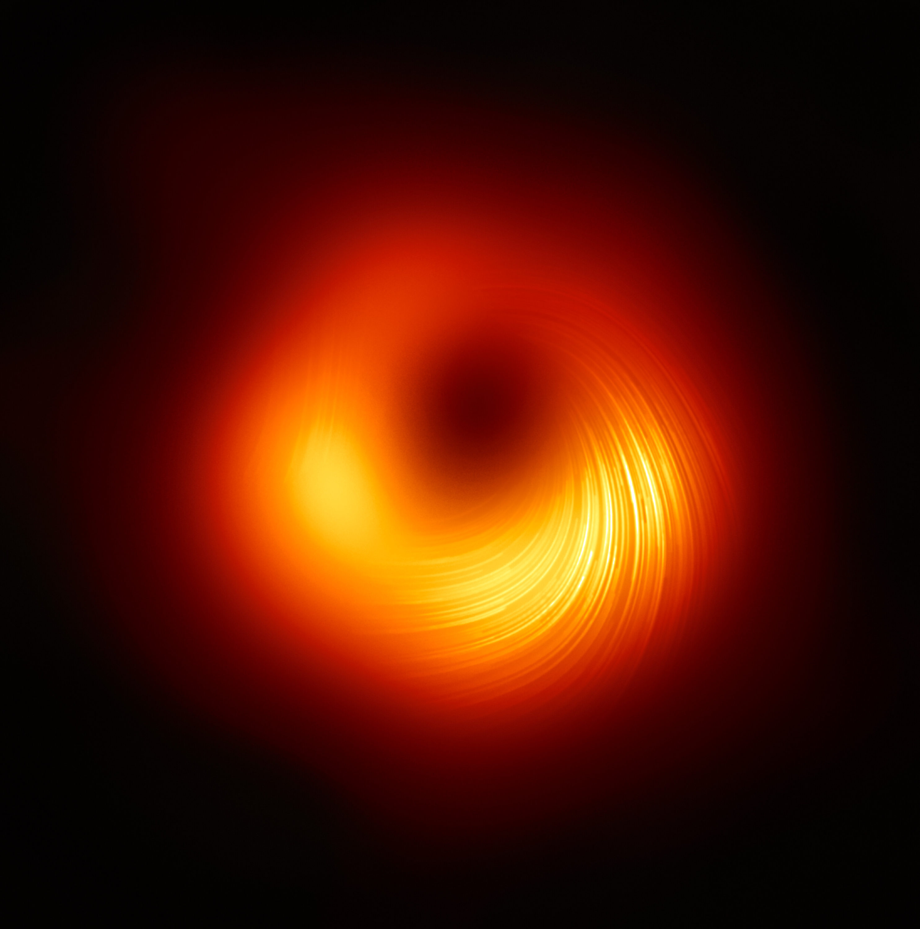 La colaboración EHT (Event Horizon Telescope o Telescopio del Horizonte de Sucesos), que produjo la primera imagen de un agujero negro hecha pública en 2019, ha revelado hoy cómo se ve con luz polarizada el enorme objeto que hay en el centro de la galaxia Messier 87 (M87). Es la primera vez que los astrónomos han podido medir la polarización (una huella que dejan los campos magnéticos) tan cerca del borde de un agujero negro. Esta imagen muestra la vista polarizada del agujero negro de M87. Las líneas marcan la orientación de la polarización, que está relacionada con el campo magnético que hay alrededor de la sombra del agujero negro. Crédito: EHT Collaboration
