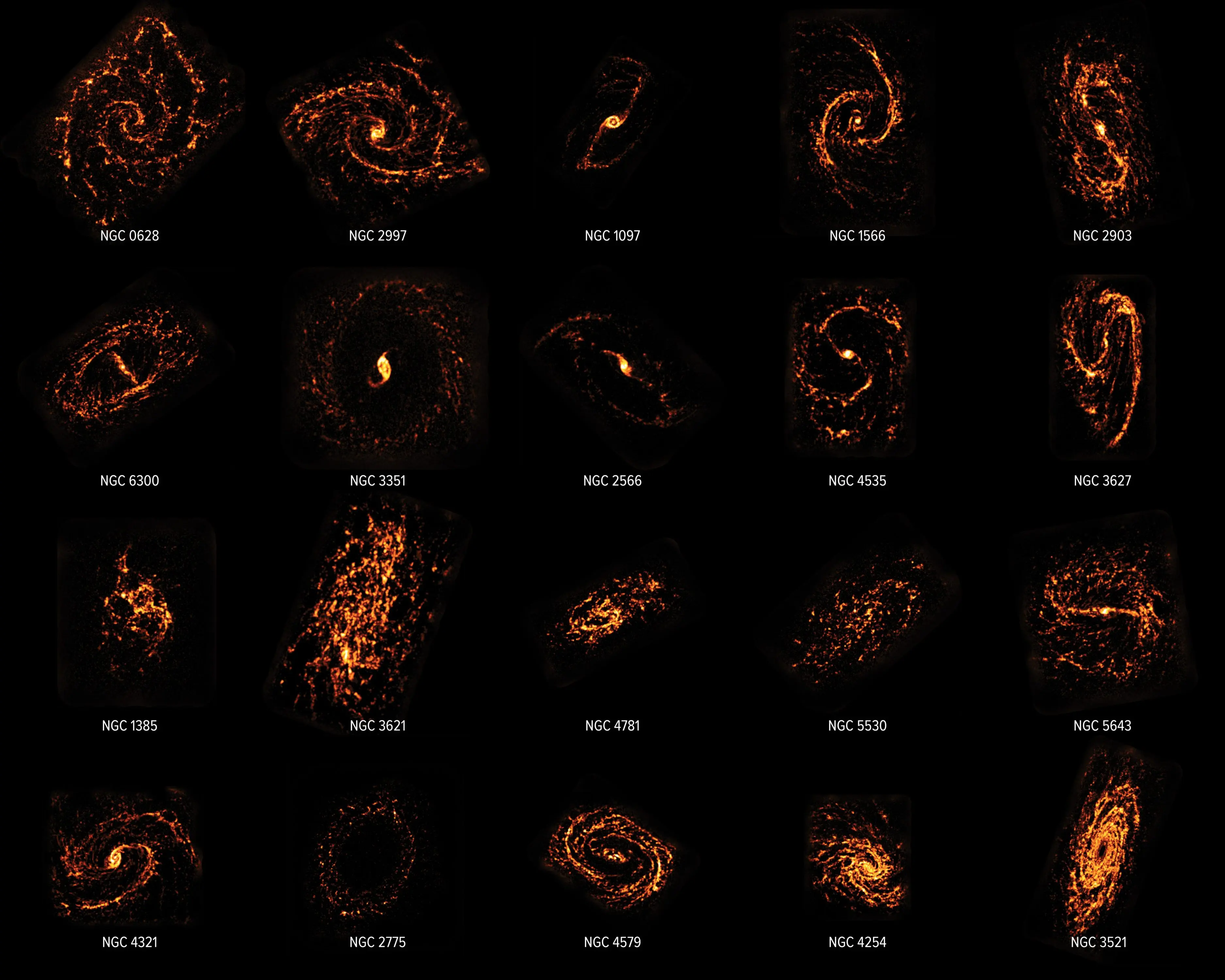 Utilizando el Atacama Large Millimeter/submillimeter Array (ALMA), los científicos completaron un censo de casi 100 galaxias en el universo cercano, mostrando sus comportamientos y apariencias. Los científicos compararon los datos de ALMA con los del Telescopio Espacial Hubble, que se muestran en una composición aquí. El estudio concluyó que, en contra de la opinión científica popular, las guarderías estelares no tienen todas el mismo aspecto ni actúan igual. De hecho, como se muestra aquí, son tan diferentes como los barrios, las ciudades, las regiones y los países que componen nuestro propio mundo. Crédito: ALMA (ESO/NAOJ/NRAO)/PHANGS, S. Dagnello (NRAO).