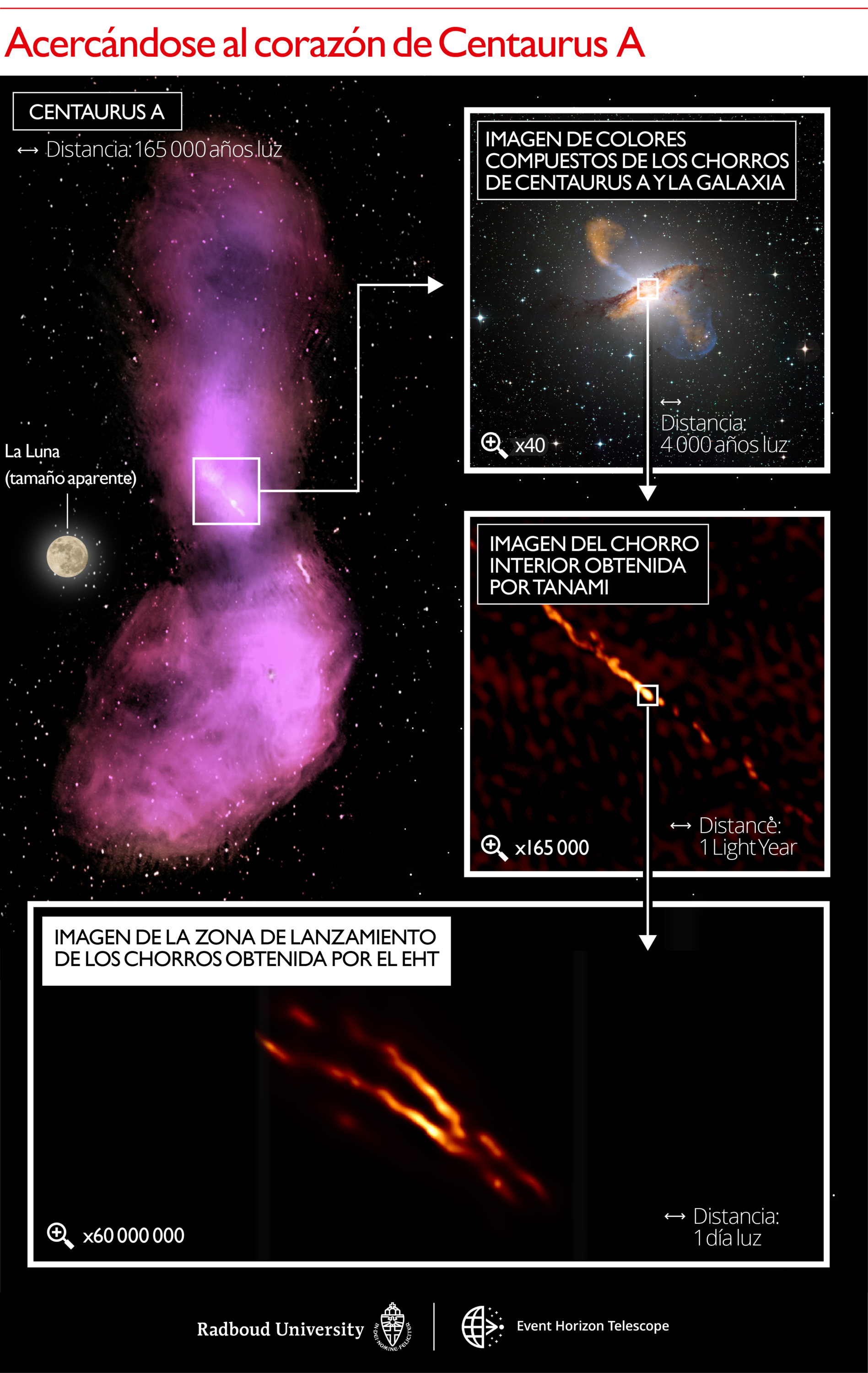 Escalas de distancia reveladas en el jet Centaurus A. La imagen superior izquierda muestra cómo el chorro se dispersa en nubes de gas que emiten ondas de radio, capturadas por los observatorios ATCA y Parkes. El panel superior derecho muestra una imagen en colores compuestos, con un zoom de 40x en comparación con el primer panel para que coincida con el tamaño de la propia galaxia. La emisión submilimétrica del chorro y el polvo en la galaxia medida por el instrumento LABOCA/APEX se muestra en naranja. La emisión de rayos X del chorro medido por la nave espacial Chandra se muestra en azul. La luz blanca visible de las estrellas de la galaxia ha sido capturada por el telescopio MPG/ESO de 2,2 metros. El siguiente panel a continuación muestra una imagen de zoom de 165000x del chorro de radio interno obtenido con los telescopios TANAMI. El panel inferior muestra la nueva imagen de mayor resolución de la región de lanzamiento del chorro obtenida con el EHT en longitudes de onda milimétricas con un zoom de 60000000x en la resolución del telescopio. Las barras de escala indicadas se muestran en años luz y días luz. Un año luz es igual a la distancia que recorre la luz en un año: unos nueve billones de kilómetros. En comparación, la distancia a la estrella conocida más cercana de nuestro Sol es de aproximadamente cuatro años luz. Un día luz es igual a la distancia que viaja la luz en un día: aproximadamente seis veces la distancia entre el Sol y Neptuno. Crédito: Universidad de Radboud; CSIRO/ATNF/I.Feain y col., R. Morganti y col., N. Junkes y col.; ESO/WFI; MPIfR/ESO/APEX/A. Weiss et al.; NASA/CXC/CfA/R. Kraft y col.; TANAMI/C. Mueller et al .; EHT/M. Janssen y col.