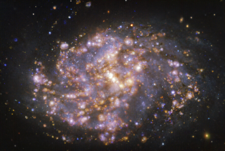 Esta imagen, tomada con el instrumento MUSE (Multi-Unit Spectroscopic Explorer, explorador espectroscópico multi-unidad), instalado en el Very Large Telescope (VLT) de ESO, muestra la galaxia cercana NGC 1087. NGC 1087 es una galaxia espiral situada a unos 80 millones de años luz de la Tierra, en la constelación de Cetus. La imagen es una combinación de observaciones realizadas en diferentes longitudes de onda de luz para mapear poblaciones estelares y gas caliente. Los resplandores dorados corresponden principalmente a nubes de hidrógeno ionizado, oxígeno y gas de azufre, lo cual marca la presencia de estrellas recién nacidas, mientras que las regiones azuladas del fondo revelan la distribución de estrellas ligeramente más viejas. La imagen fue tomada como parte del proyecto Physics at High Angular resolution in Nearby GalaxieS (PHANGS), que realiza observaciones de alta resolución de galaxias cercanas con telescopios que operan en todo el espectro electromagnético. Crédito: ESO/PHANGS