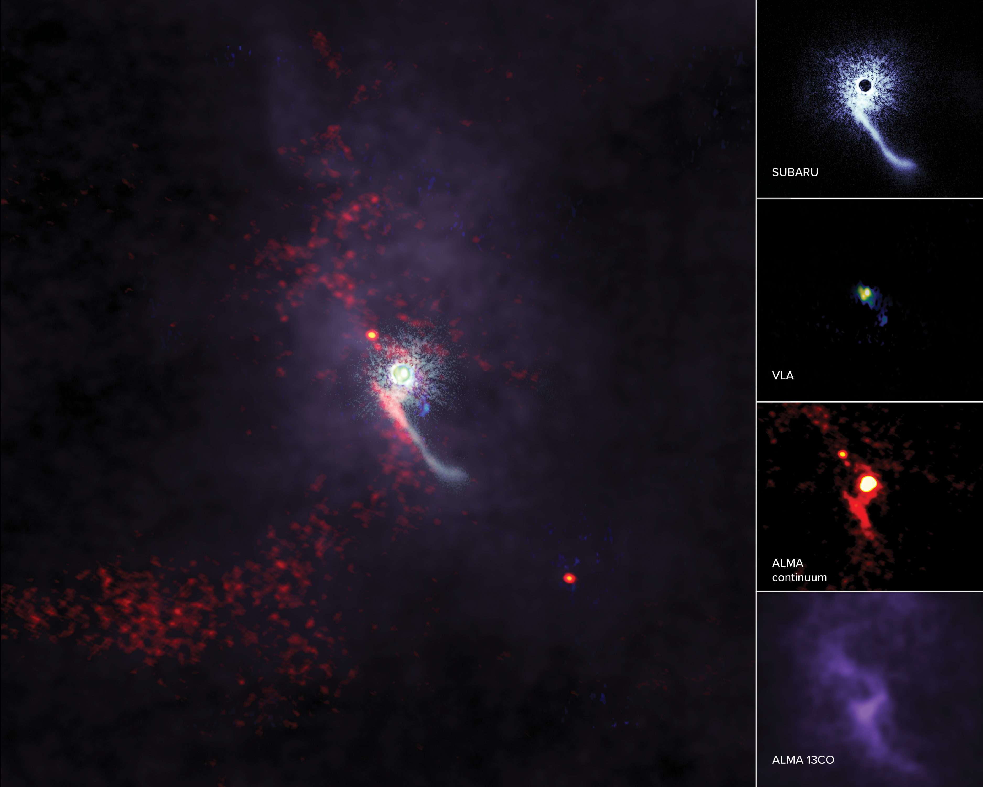 A medida que crecen, las estrellas suelen interactuar con sus estrellas hermanas (estrellas que crecen en zonas cercanas), pero rara vez se las ha visto interactuar con objetos externos, conocidos como intrusos. Ahora los científicos realizaron observaciones de un objeto intruso que perturbó el disco protoplanetario presente alrededor de Z Canis Majoris, una estrella de la constelación Canis Major, un fenómeno que podría tener importantes consecuencias para el desarrollo de nuevos planetas. Estas perturbaciones, como los extensos penachos de gas detectados, fueron observadas en detalle por el telescopio Subaru en la banda H, el Karl G. Jansky Very Large Array en la banda Ka y por ALMA usando el receptor de Banda 6. Créditos: ALMA (ESO/NAOJ/NRAO), S. Dagnello (NRAO/AUI/NSF), NAOJ