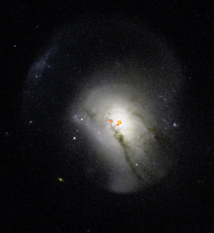 Post-starburst galaxies were previously believed to expel all of their molecular gas, a behavior that caused them to stop forming stars. New observations have revealed that these galaxies actually hold onto and condense star-forming fuel near their centers and then don't use it to form stars. Here, radio data of PSB 0570.537.52266 overlaid on optical images from the Hubble Space Telescope show the dense collection of gas near the galaxy's center. Credit: ALMA (ESO/NAOJ/NRAO) / S. Dagnello (NRAO/AUI/NSF)
