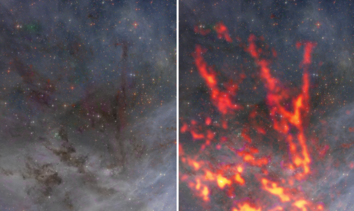 Esta vista ampliada de la región norte de 30 Doradus revela las estructuras filamentosas que conforman la nube de gas. Esta región, habitada por varias protoestrellas masivas (cada una con más de 5 veces la masa de nuestro Sol), se caracteriza por la actividad de formación estelar. Las observaciones futuras con el Atacama Large Millimeter/submillimeter Array (ALMA) permitirán a la comunidad científica entender por qué la actividad de formación estelar difiere entre las distintas regiones de 30 Dor. Créditos: ALMA (ESO/NAOJ/NRAO), T. Wong (U. Illinois, Urbana-Champaign); S. Dagnello (NRAO/AUI/NSF)