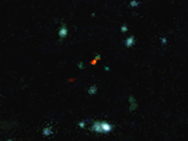 ALMA Witnesses Assembly of Galaxies in the Early Universe for the First Time