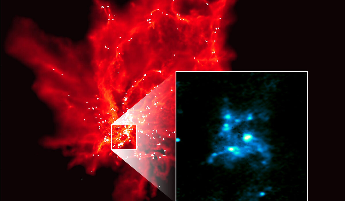 ALMA Reveals the Cradles of Dense Cores: the Birthplace of Massive Stars