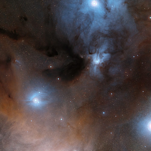 This wide-field view shows a spectacular region of dark and bright clouds, forming part of a region of star formation in the constellation of Ophiuchus (The Serpent Bearer). This picture was created from images in the Digitized Sky Survey 2.