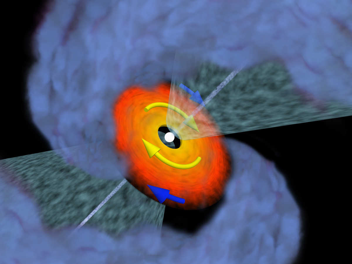<p>ALMA was used to observe VLA1623, a triple protostellar system located in the rho Ophiuchus star-forming cloud [2]. A disk structure was observed towards VLA1623A, a very young source still wrapped in its cocoon of dust and gas. Thanks to ALMA’s capabilities, analysis of the gas in the disk revealed its motion to be Keplerian and to have a radius of roughly 5 times the radius of Neptune’s orbit [3], but with a central protostar mass of only 0.2 times our Sun’s mass. This shows that the protostar is still very young and growing.</p>
<p>Credit: ALMA (ESO/NAOJ/NRAO)</p>
