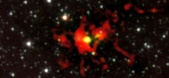 ALMA Prenatal Scan Reveals Embryonic Monster Star