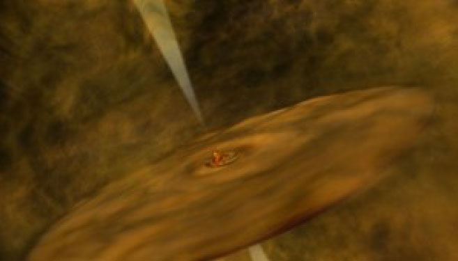 Brown Dwarfs Form Like Stars