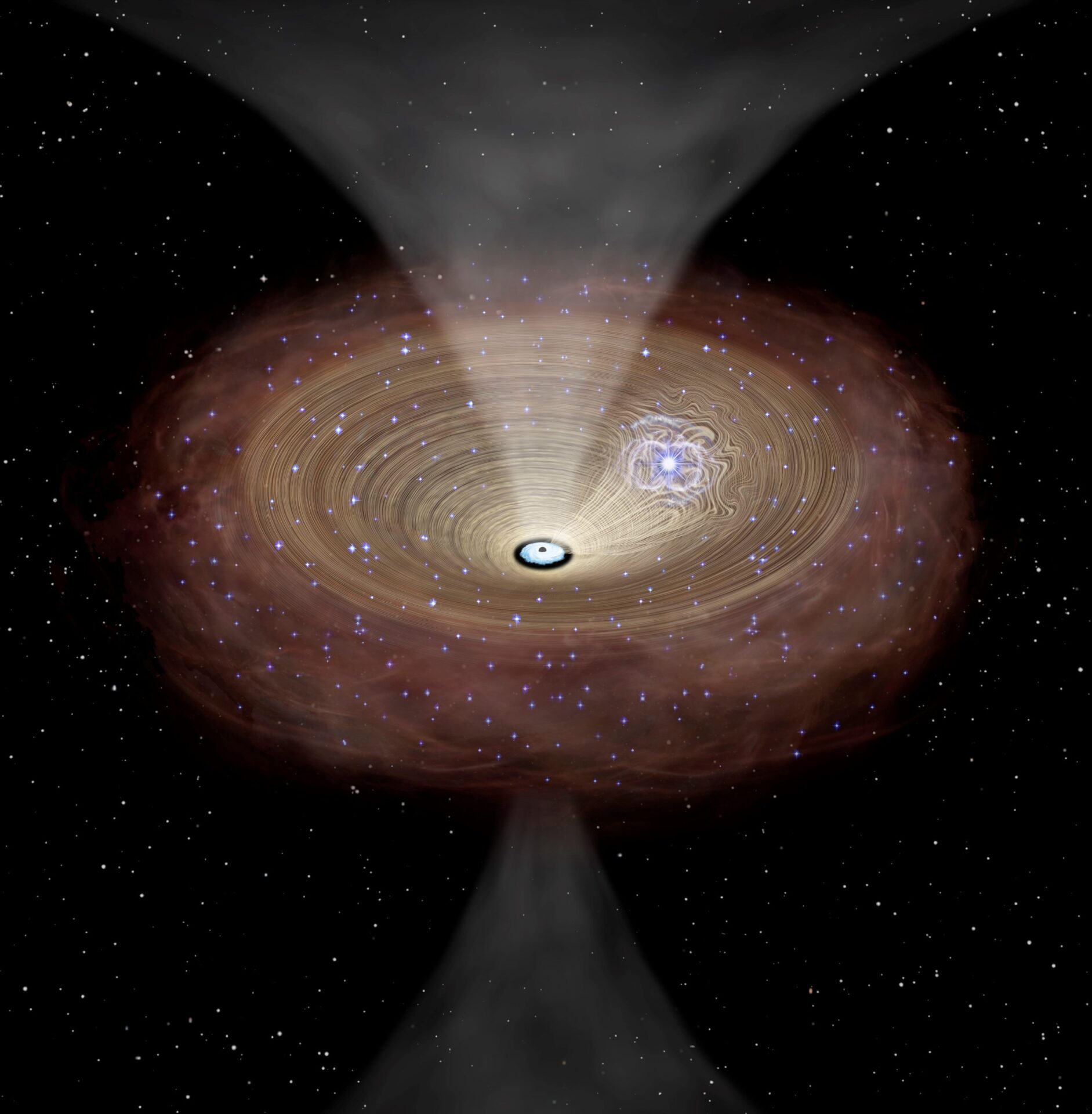 Black hole following a supernova explosion