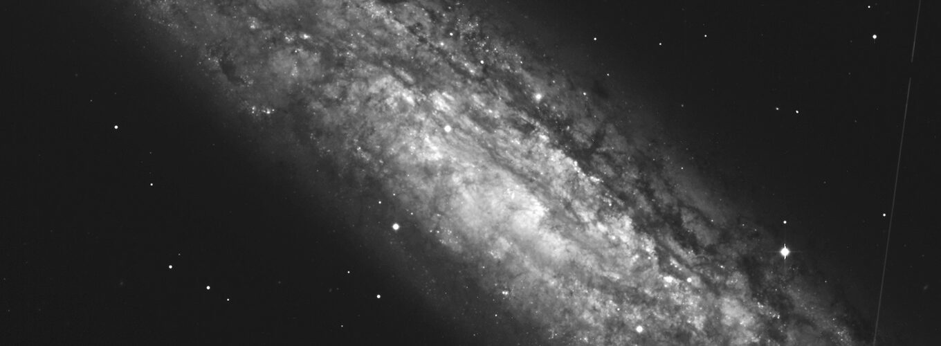 Forest of Molecular Signals in Star Forming Galaxy