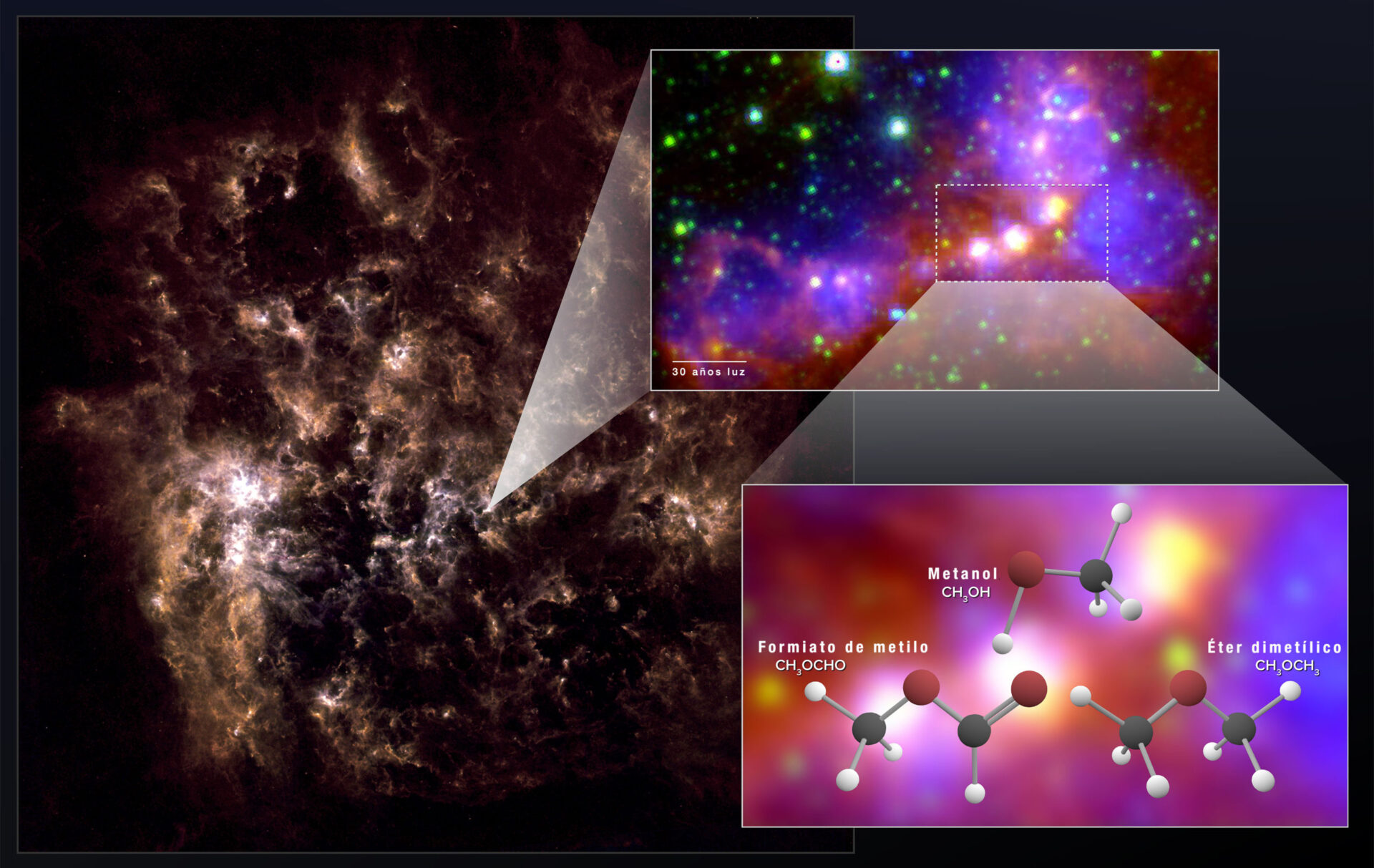 Gracias a ALMA, los astrónomos descubrieron "huellas" químicas de metanol, éter dimetílico y formiato de metilo en la Gran Nube de Magallanes. El éter dimetílico y el formiato de metilo son las moléculas orgánicas más grandes descubiertas con seguridad fuera de la Vía Láctea. La imagen de la Gran Nube de Magallanes en varios cuadros muestra las zonas protoestelares observadas por ALMA. La galaxia entera a la izquierda es una imagen en infrarrojo lejano obtenida por el observatorio Herschel. La imagen ampliada se generó combinando datos de infrarrojo medio del observatorio Herschel y datos de luz visible (H-alpha) del telescopio de Blanco, un telescopio de 4 metros. Créditos: NASA/GSFC; NRAO/AUI/NSF; ALMA (ESO/NAOJ/NRAO); Herschel/ESA; NOAO