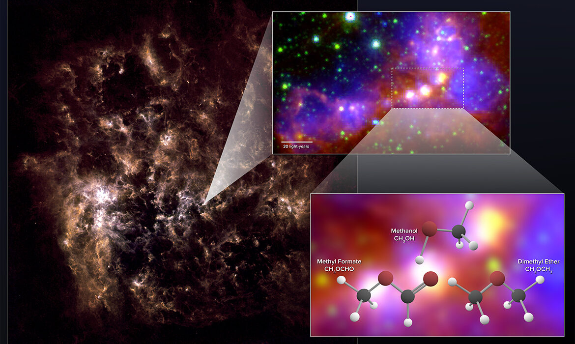 Large Magellanic Cloud Contains Surprisingly Complex Organic Molecules