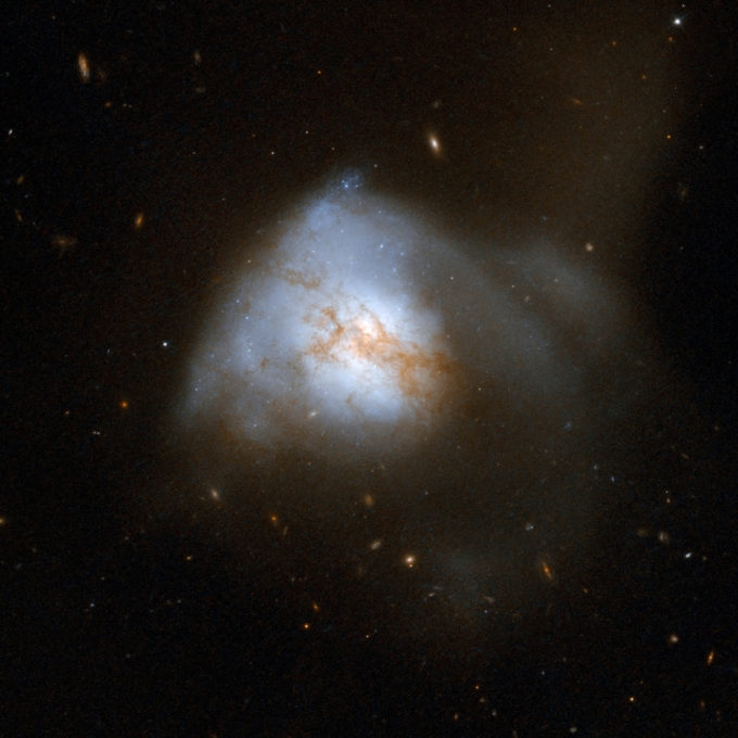 Arp 220 appears to be a single, odd-looking galaxy, but is in fact a nearby example of the aftermath of a collision between two spiral galaxies. It is the brightest of the three galactic mergers closest to Earth, about 250 million light-years away in the constellation of Serpens, the Serpent. The collision, which began about 700 million years ago, has sparked a cracking burst of star formation, resulting in about 200 huge star clusters in a packed, dusty region about 5,000 light-years across (about 5 percent of the Milky Way's diameter). The amount of gas in this tiny region equals the amount of gas in the entire Milky Way Galaxy. The star clusters are the bluish-white bright knots visible in the Hubble image. Arp 220 glows brightest in infrared light and is an ultraluminous infrared galaxy. Previous Hubble observations, taken in the infrared at a wavelength that looks through the dust, have uncovered the cores of the parent galaxies 1,200 light-years apart. Observations with NASA's Chandra X-ray Observatory have also revealed X-rays coming from both cores, indicating the presence of two supermassive black holes. Arp 220 is the 220th galaxy in Arp's Atlas of Peculiar Galaxies. Credit: NASA, ESA, the Hubble Heritage Team (STScI/AURA)-ESA/Hubble Collaboration and A. Evans (University of Virginia, Charlottesville/NRAO/Stony Brook University)