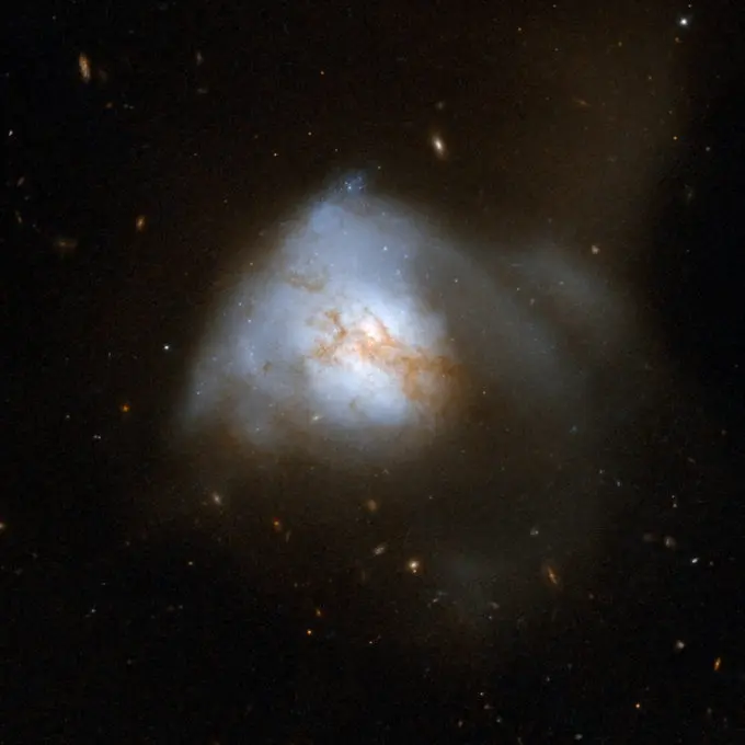 Arp 220 parece ser una galaxia extraña, pero en realidad es un ejemplo cercano de lo que sucede justo después de una colisión entre dos galaxias espirales. Es la más brillante de las tres fusiones galácticas más cercanas a la Tierra, y se ubica a 250 millones de años luz, en la constelación de la Serpiente. La colisión, que empezó hace unos 700 millones de años, desató un vertiginoso brote de formación estelar que dio origen a enormes cúmulos estelares en una región compacta y llena de polvo de unos 5.000 años luz de extensión (cerca del 5 % del diámetro de la Vía Láctea). La cantidad de gas presente en esta diminuta región es igual a la cantidad de gas existente en toda la Vía Láctea. Los cúmulos estelares son los puntos blancos azulados y brillantes que se ven en la imagen del telescopio Hubble. Arp 220 es una galaxia infrarroja ultraluminosa, con lo cual brilla más en la luz infrarroja. En observaciones anteriores del telescopio Hubble, realizadas en el espectro infrarrojo a una longitud de onda que atraviesa el polvo, se habían revelado los núcleos de las galaxias madre situadas a 1.200 años luz de distancia. Las observaciones realizadas con el Observatorio Chandra de Rayos X de la NASA también revelaron la presencia de rayos x proveniente de ambos núcleos, hallazgo que delata la presencia de dos agujeros negros supermasivos. Arp 220 es la galaxia número 220 del Atlas de galaxias peculiares de Arp. Créditos: NASA, ESA, Hubble Heritage Team (STScI/AURA)-ESA/Hubble Collaboration y A. Evans (Universidad de Virginia, Charlottesville/NRAO/Universidad de Stony Brook)