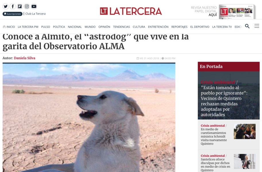 Conoce a Almito, el “astrodog” que vive en la garita del Observatorio ALMA