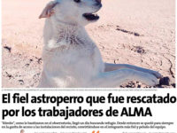 El fiel astroperro que fue rescatado por los trabajadores de ALMA