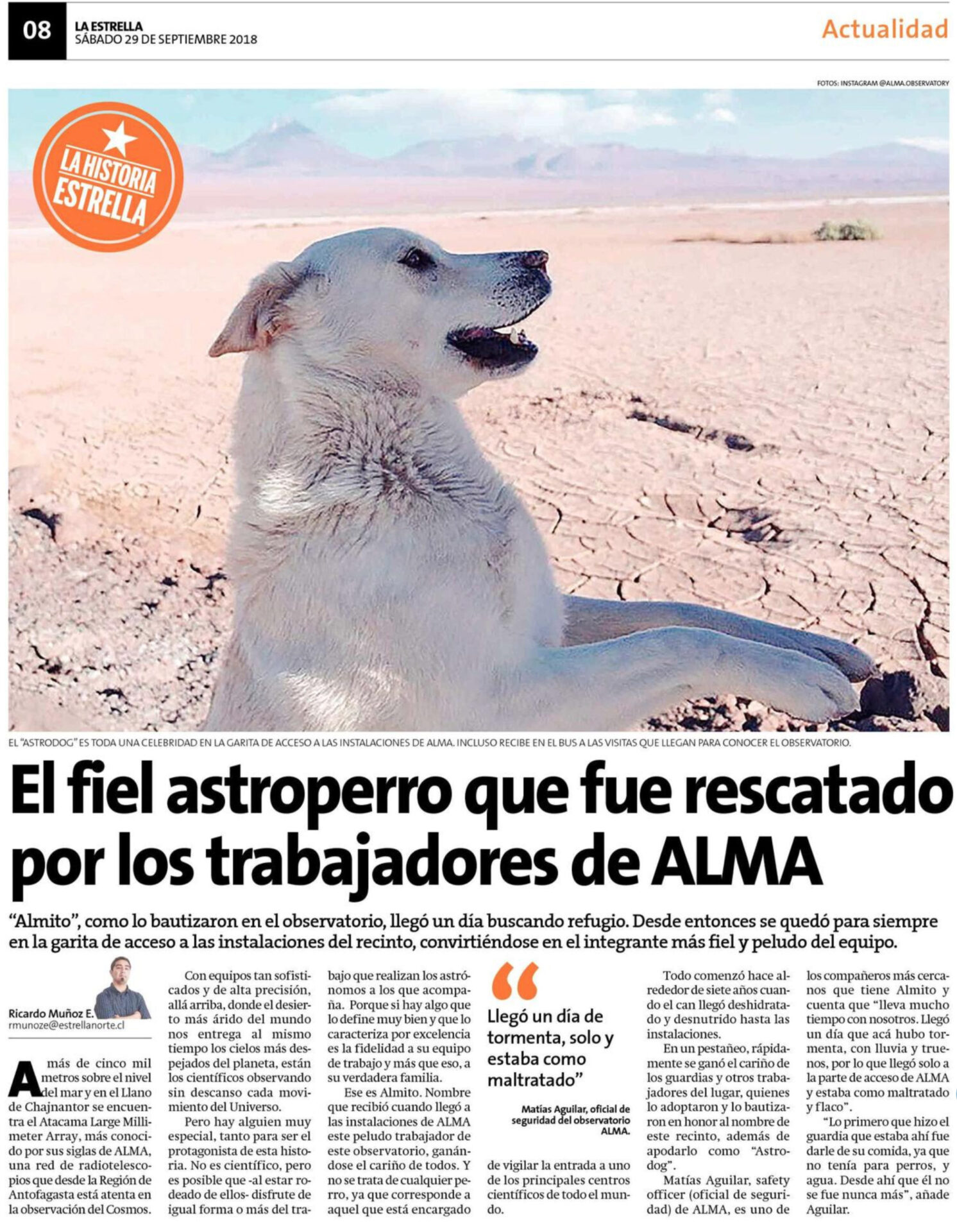 El fiel astroperro que fue rescatado por los trabajadores de ALMA