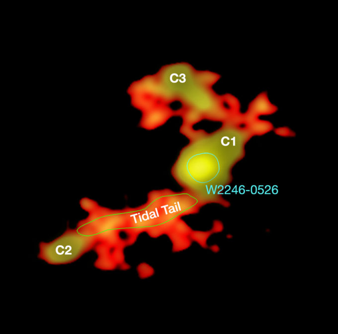 Imagen de ALMA muestra como W2246-0526 está siendo alimentada por tres galaxias compañeras (C1, C2 y C3) a través de flujos transgalácticos: una gran cola de marea, marcada en verde, conecta C2 con la galaxia principal; las otras dos galaxias (C1 y C3) están conectadas a W2246-0526 por puentes de polvo. Crédito: T. Díaz-Santos et al .; N. Lira; ALMA (ESO / NAOJ / NRAO).