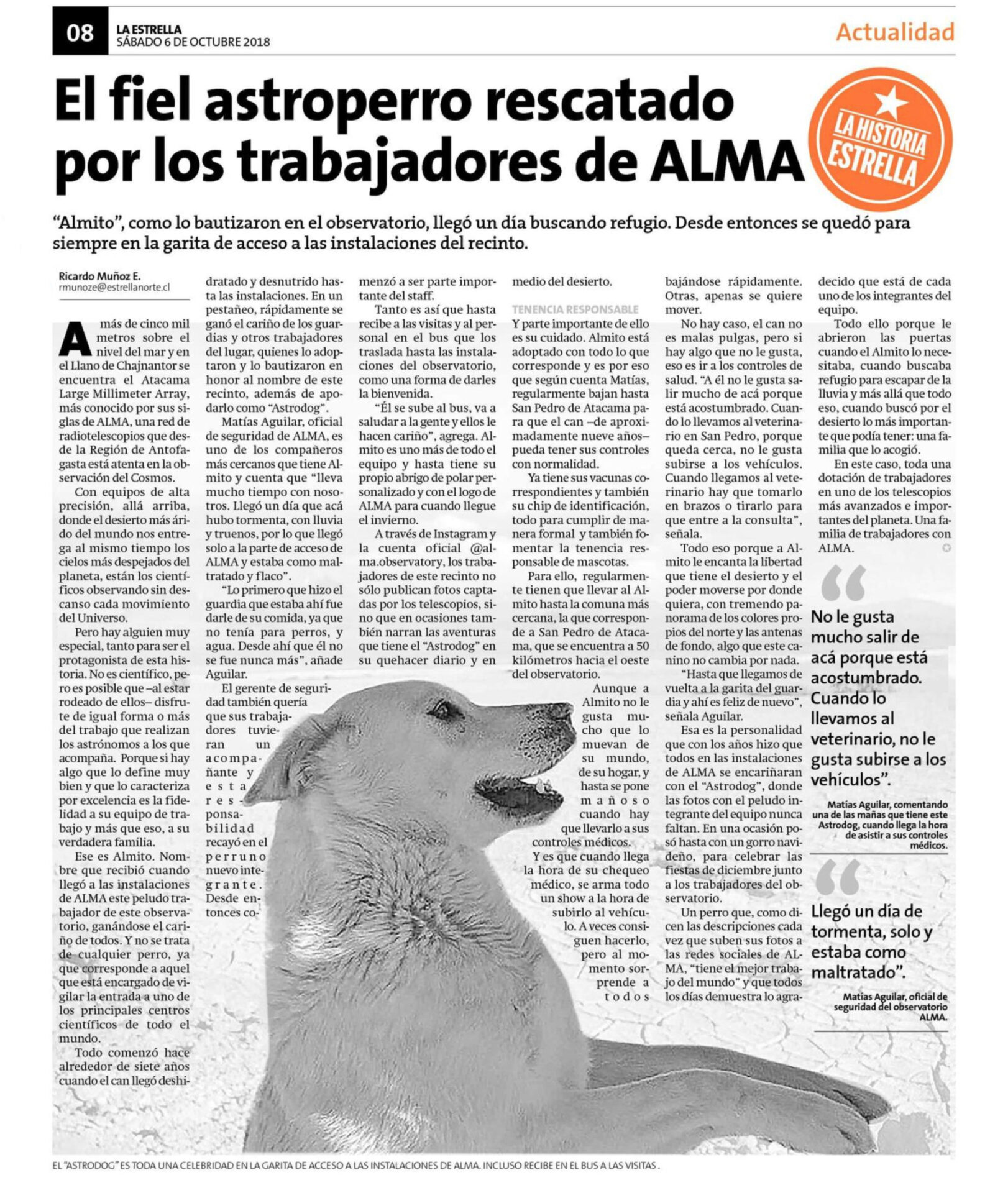 El fiel astroperro rescatado por los trabajadores de ALMA