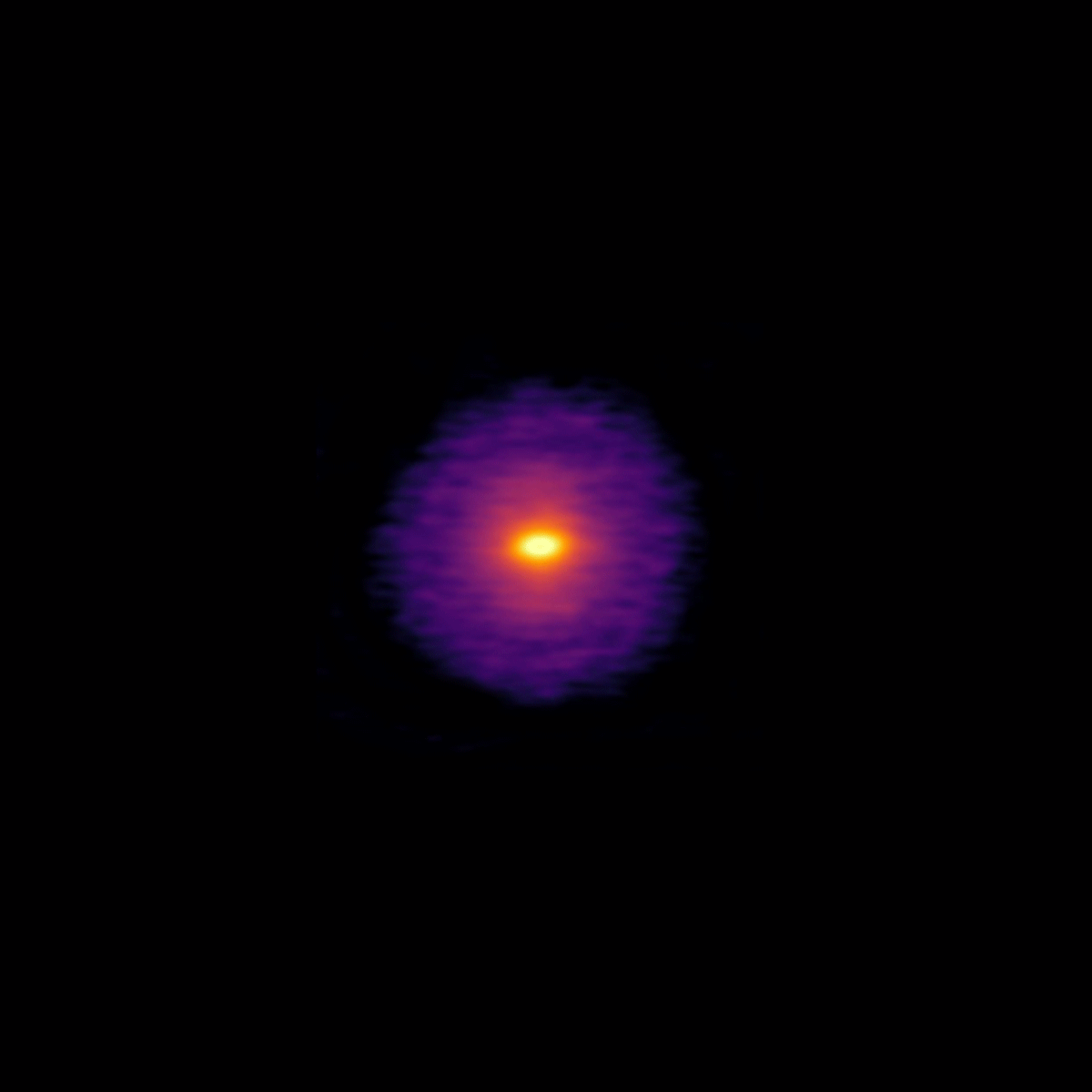 <p>GIF abarcando las imágenes de ALMA de los 20 discos observados en el marco del proyecto DSHARP. Crédito: ALMA (ESO/NAOJ/NRAO), Andrews et al.; N. Lira.</p>
