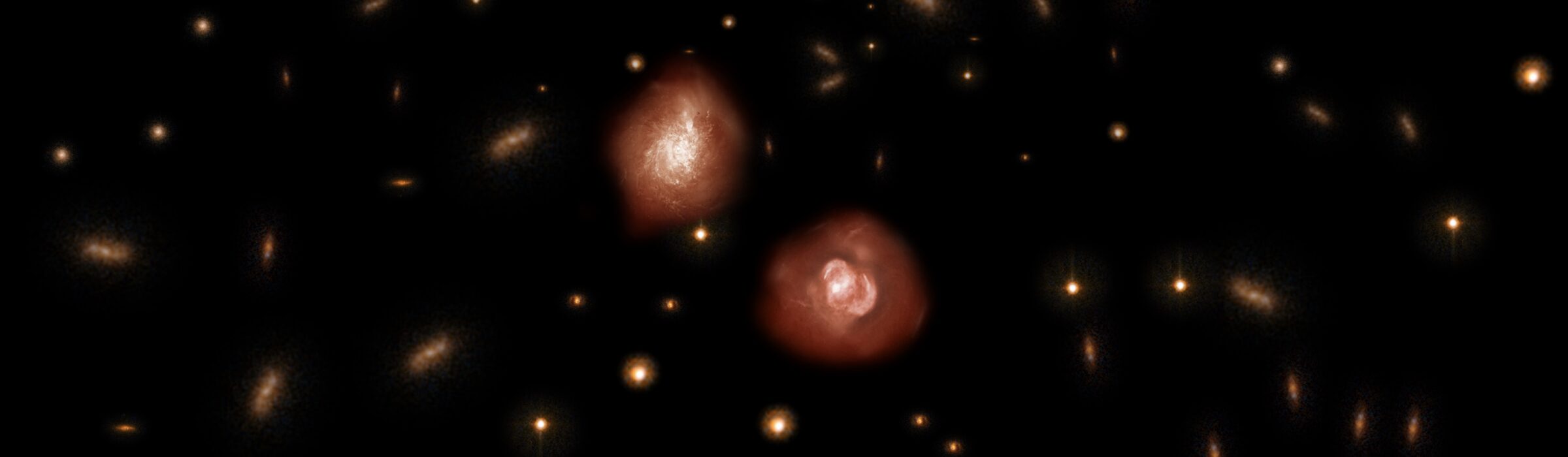 ALMA Identified Dark Ancestors of Massive Elliptical Galaxies