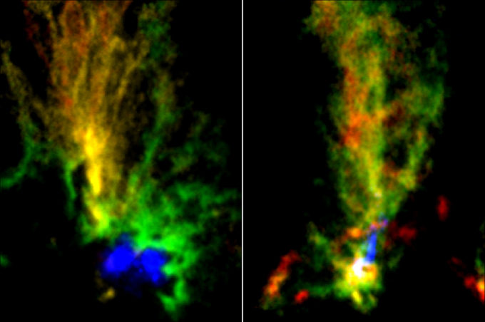 Imágenes de las nubes moleculares N159E-Papillon Nebula (izquierda) y N159W Sur (derecha) obtenidas con ALMA. Los colores rojo y verde muestran la distribución del gas molecular en distintas velocidades observado en la emisión de 13CO. La zona en azul en la nebulosa N159E-Papillon representa el gas de hidrógeno ionizado observado con el telescopio espacial Hubble. El área en azul en N159W Sur representa la emisión de partículas de polvo observada con ALMA. Créditos: ALMA (ESO/NAOJ/NRAO)/Fukui et al./Tokuda et al./telescopio espacial Hubble de la NASA/ESA