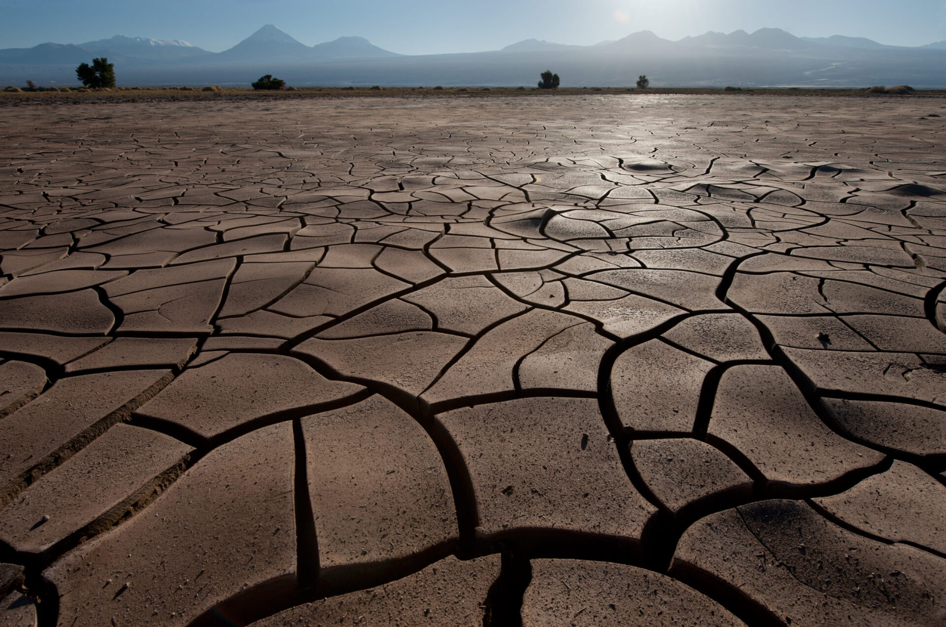 Dry as a desert