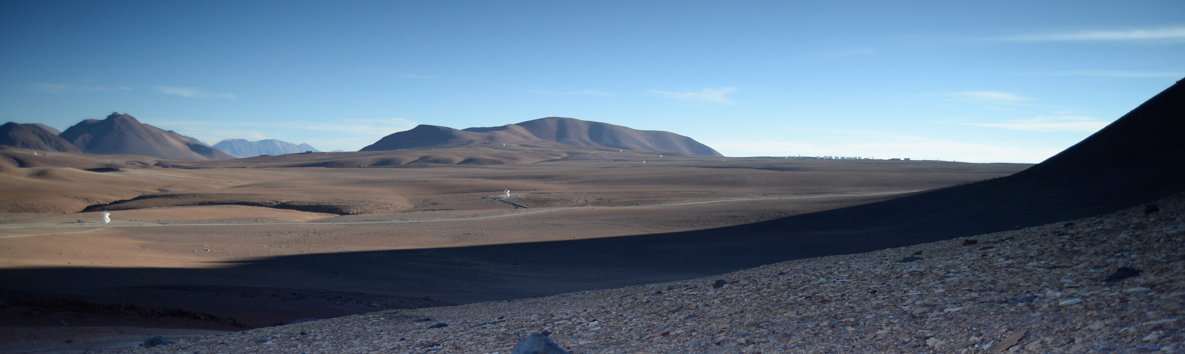 They are all over the place!