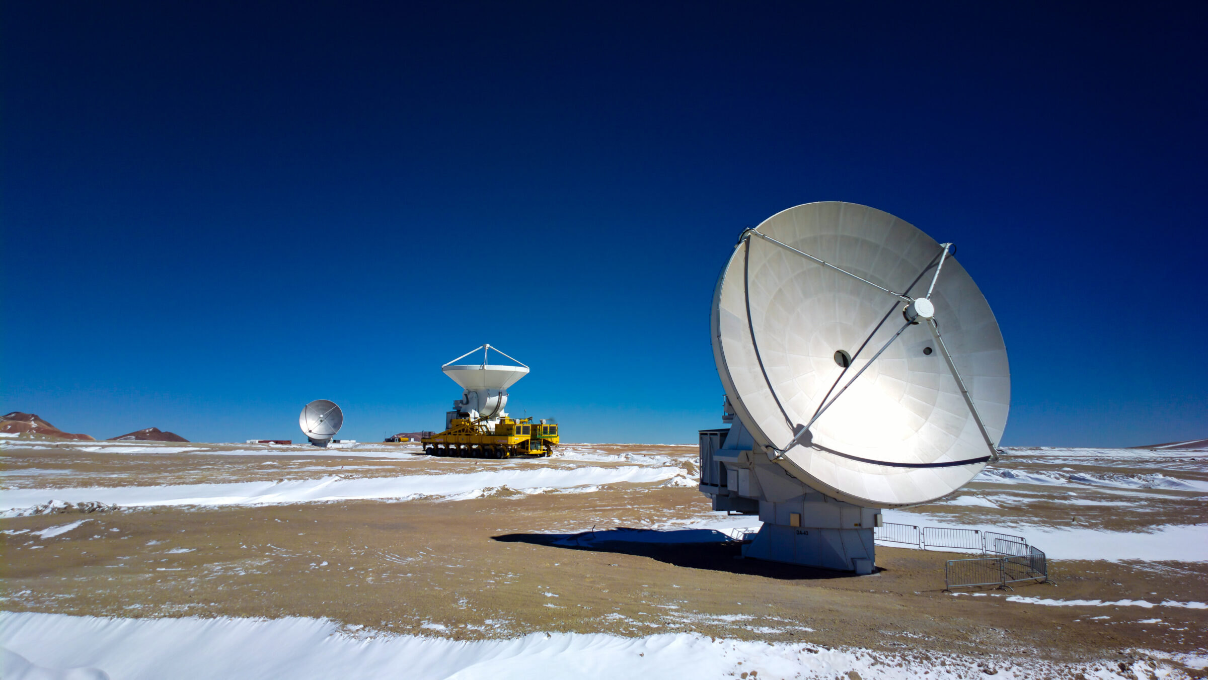 Lore, one of the ALMA transporters