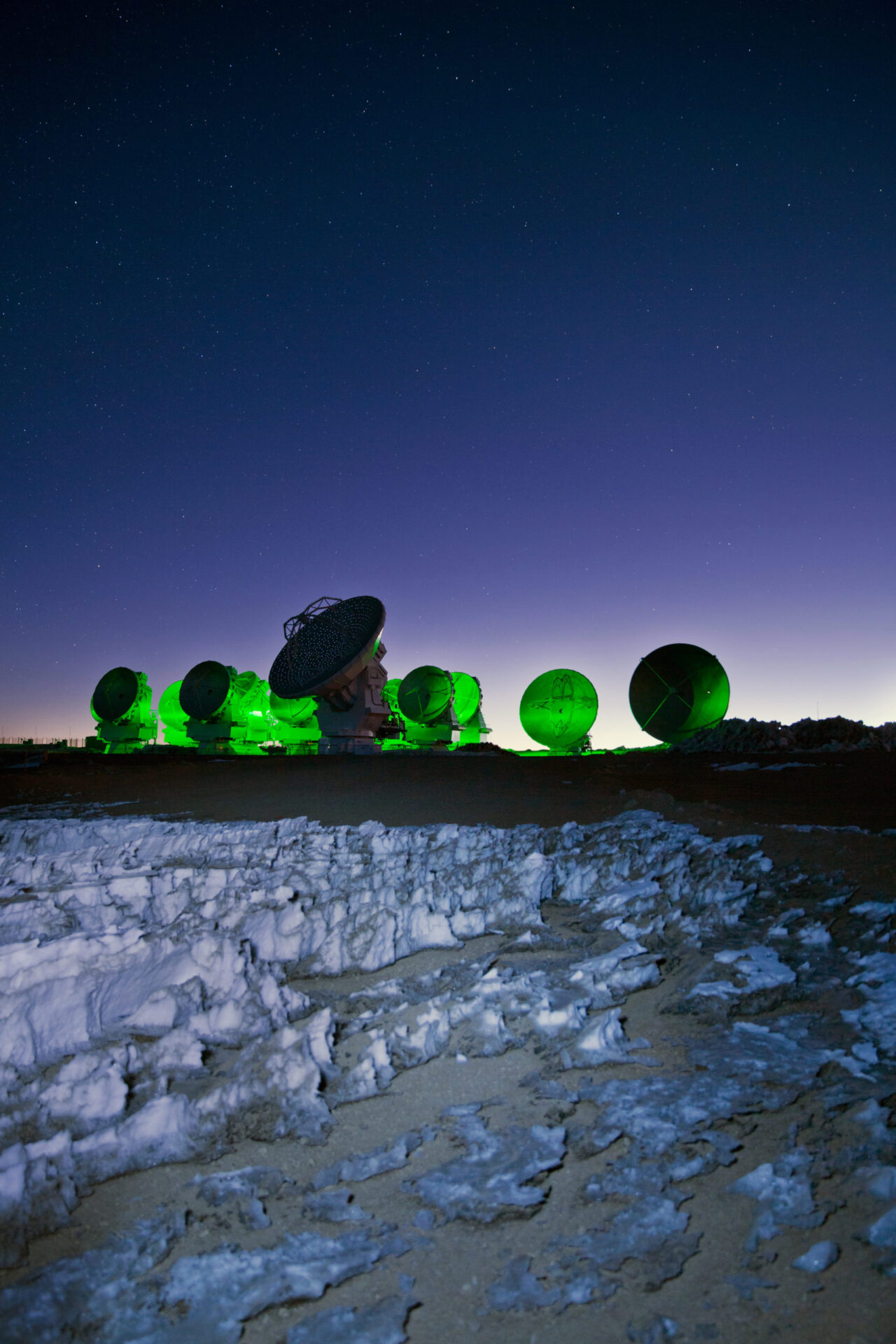 Sitting amongst the alien landscape