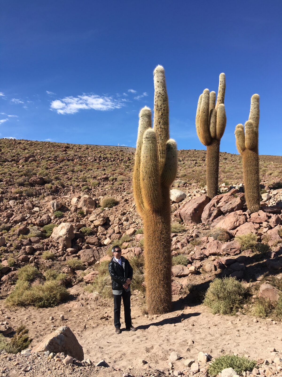 Muchas personas importantes han conocido ALMA