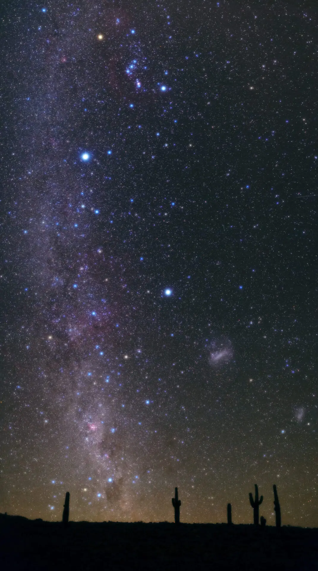 Atacama night