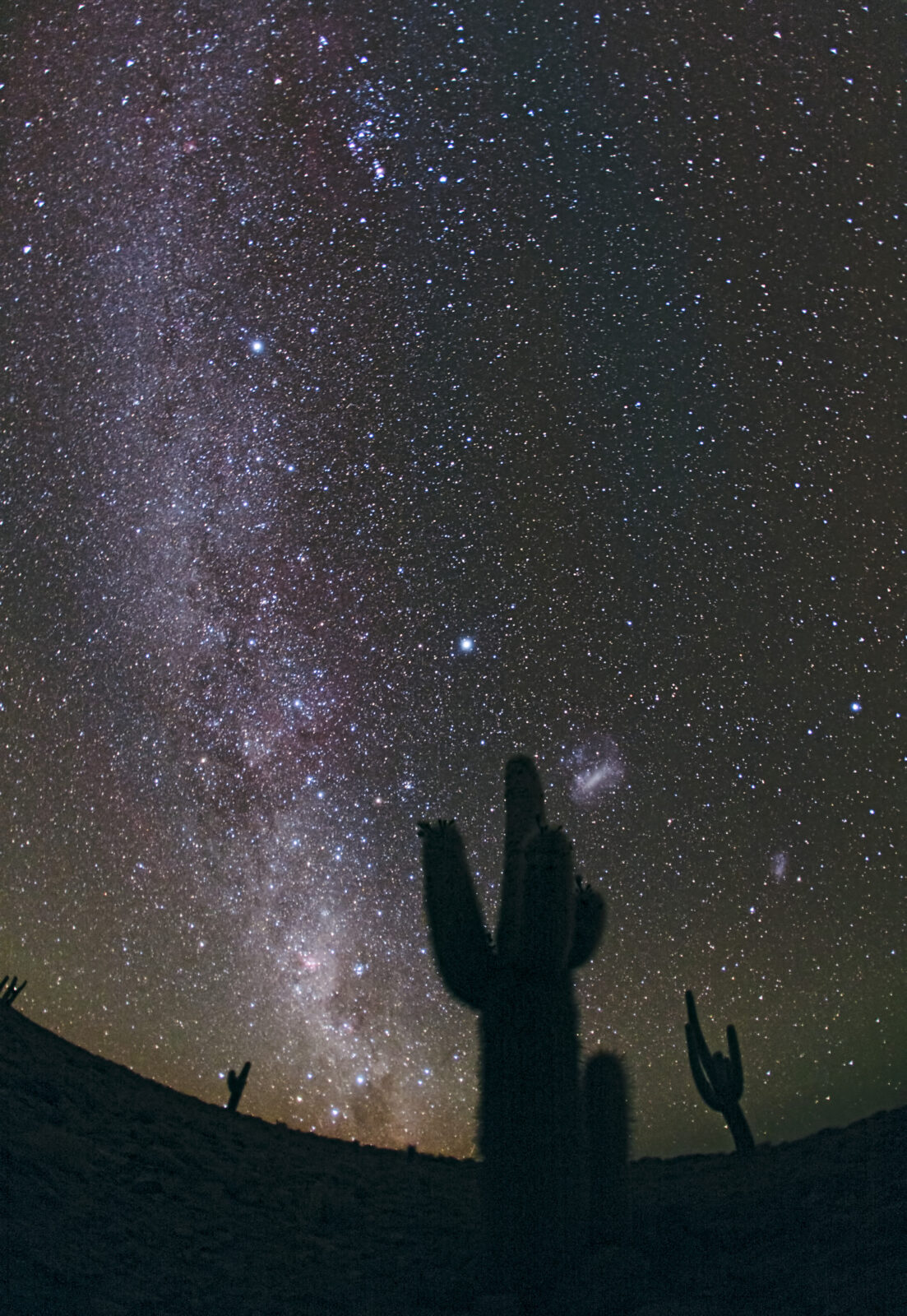 Desierto de Atacama chileno.