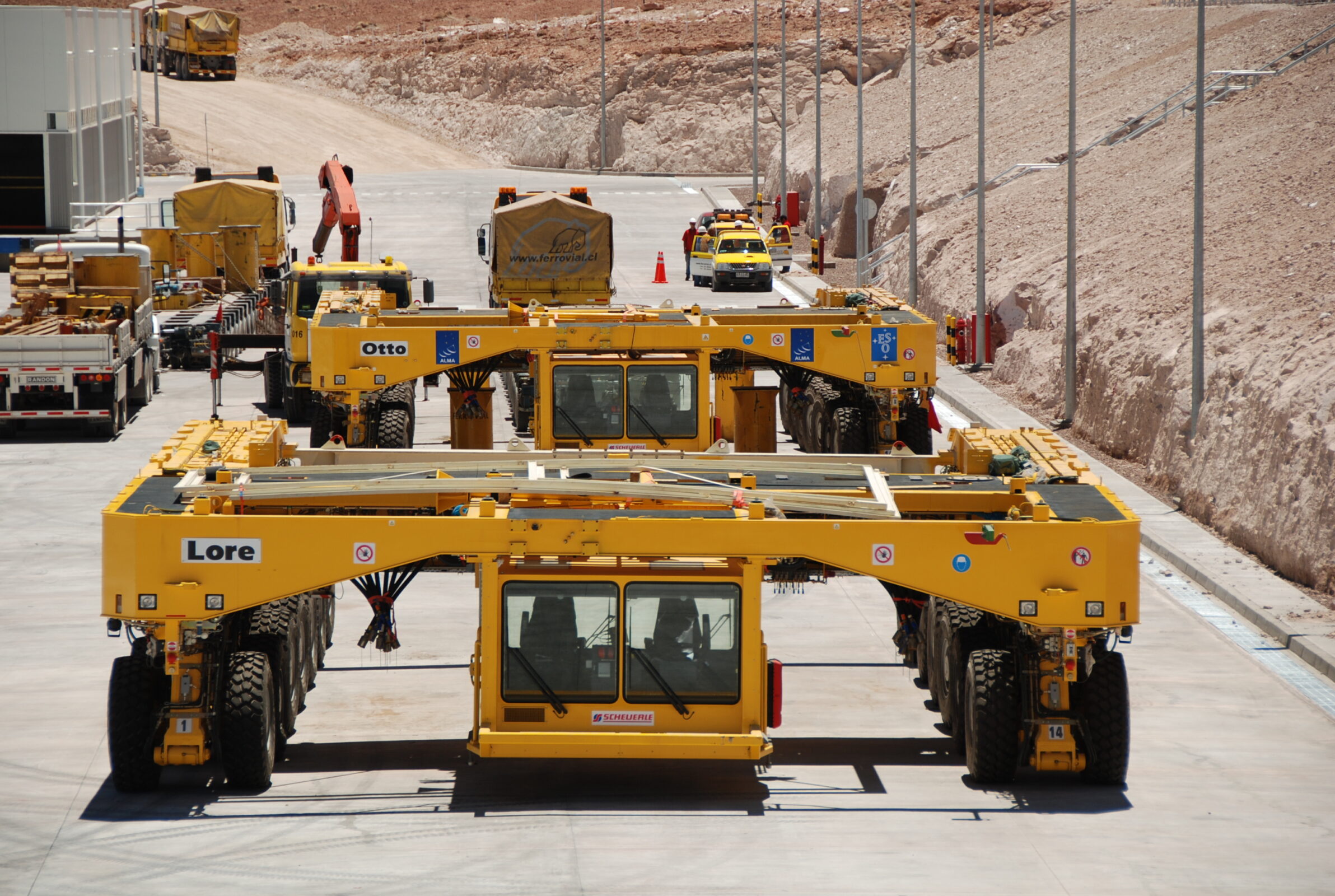 Llegada transportadores