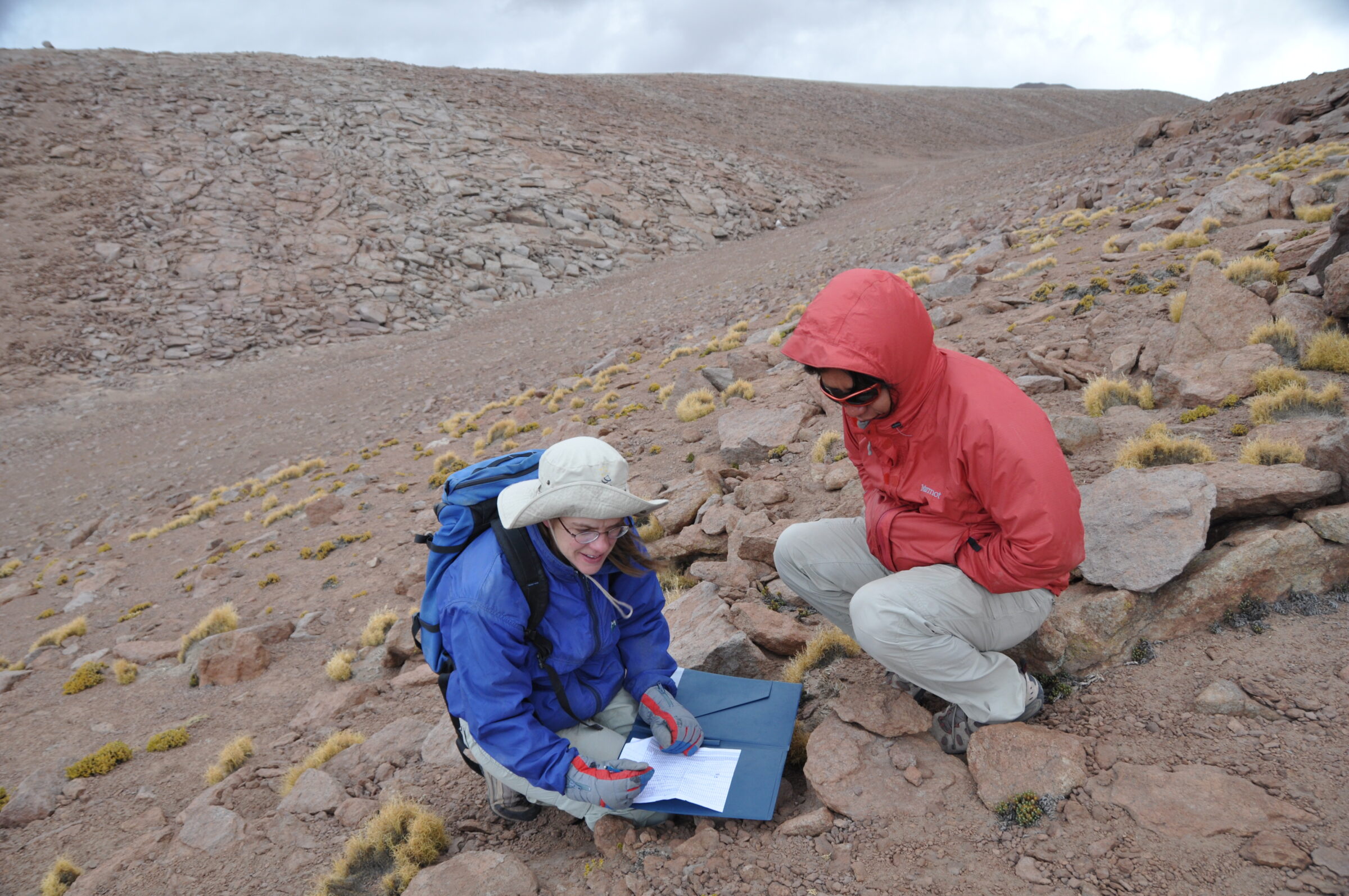 ALMA always cares about the Flora and Fauna