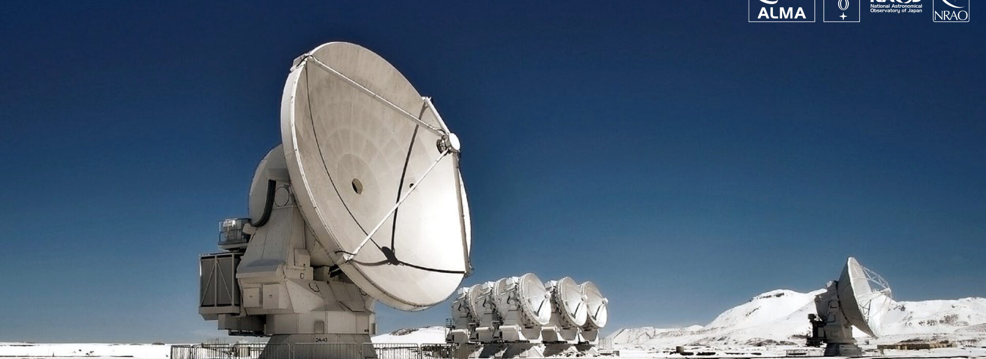 Newly processed Venus ALMA data made available to the community