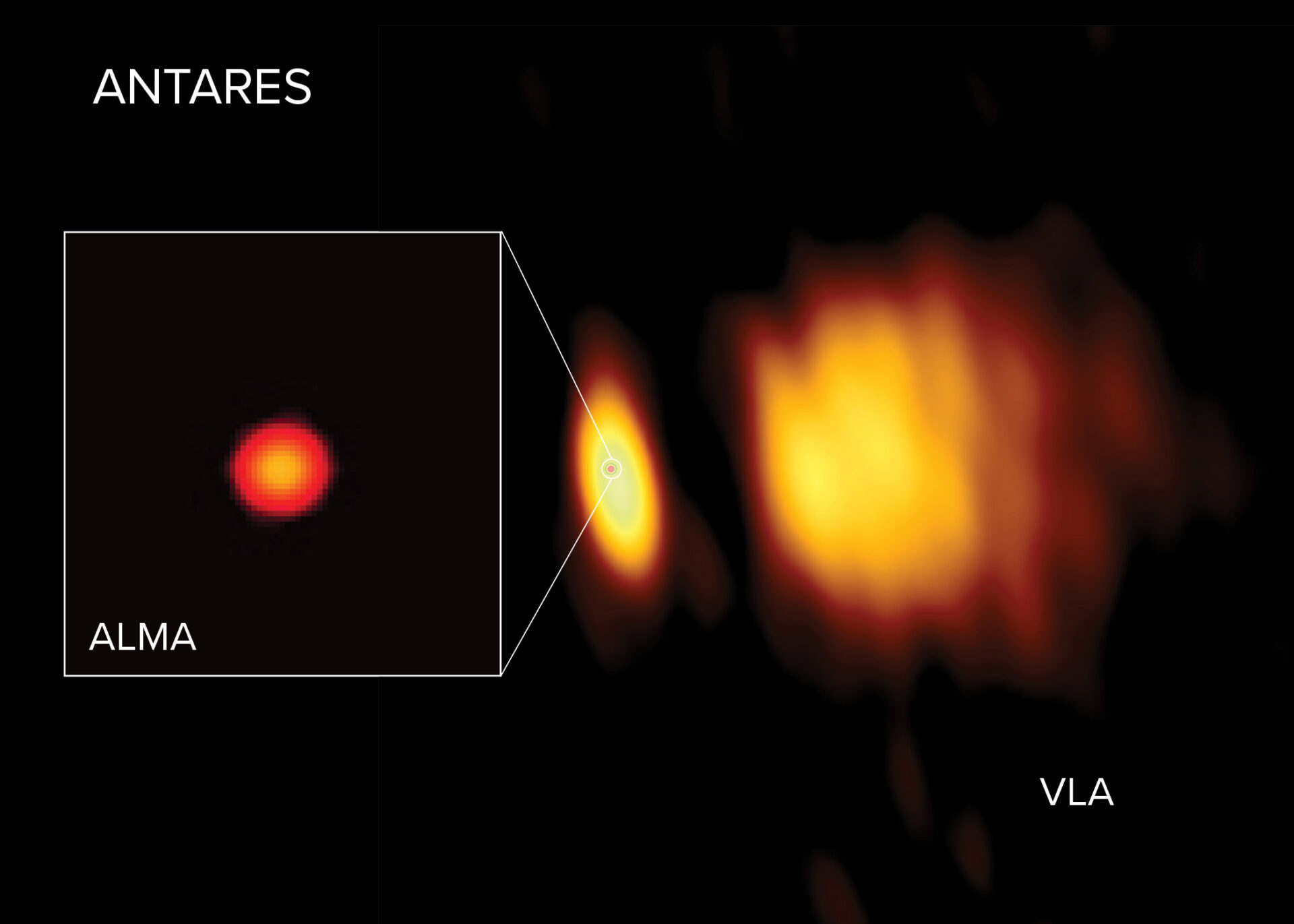 Imágenes de radio de Antares obtenidas con ALMA y el VLA. ALMA observó Antares cerca de su superficie en longitudes de onda más cortas, mientras que las longitudes de onda más largas observadas por el VLA revelaron la atmósfera de la estrella, más distante de la superficie. En la imagen del VLA se aprecia un enorme viento a la derecha, expulsado por Antares y encendido por su estrella compañera, más pequeña y caliente, Antares B. Créditos: ALMA (ESO/NAOJ/NRAO), E. O’Gorman; NRAO/AUI/NSF, S. Dagnello