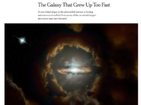 The Galaxy That Grew Up Too Fast