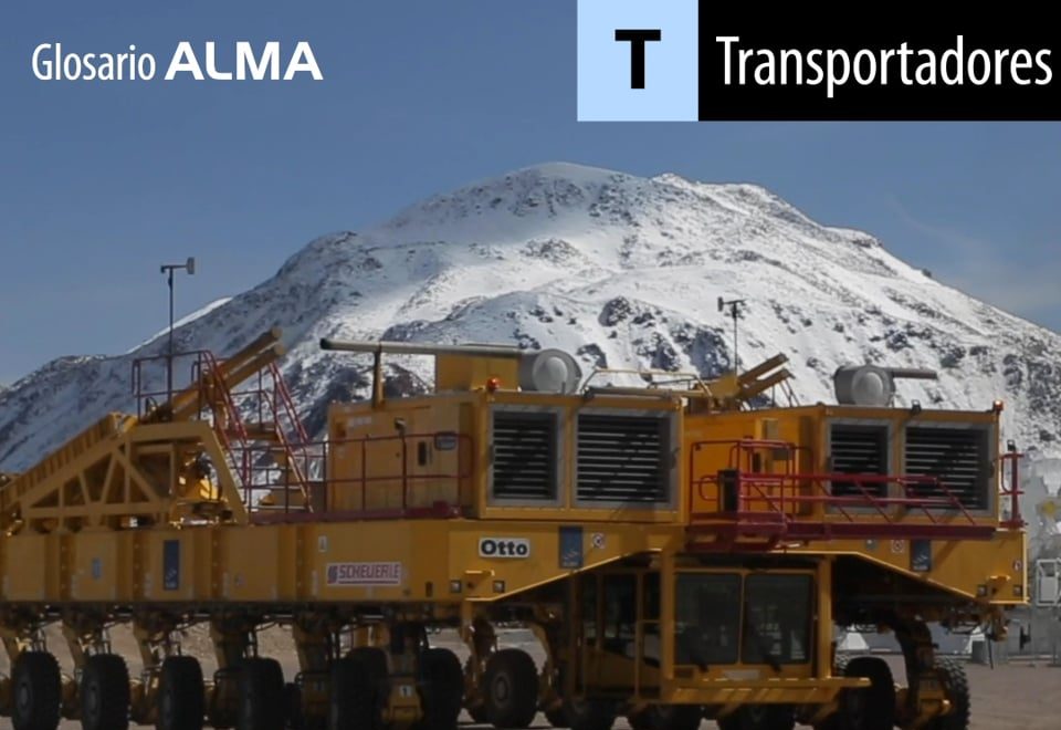 Transportadores