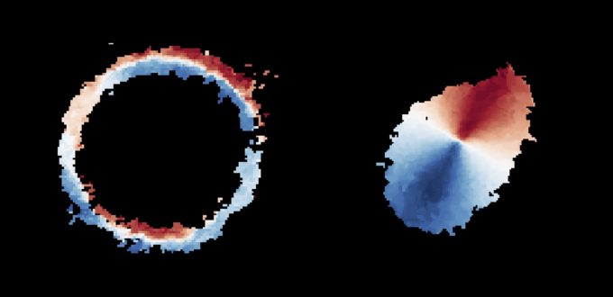 Utilizando ALMA (un conjunto de antenas del cual ESO es socio), un equipo de astrónomos ha revelado la existencia de una galaxia muy distante que es sorprendentemente similar a nuestra Vía Láctea. La galaxia, SPT0418-47, se ha observado gracias a una lente gravitacional de una galaxia cercana, y puede verse como un anillo de luz casi perfecto (izquierda). A partir de los datos proporcionados por ALMA, el equipo de investigación reconstruyó la verdadera forma de la galaxia distante y el movimiento de su gas (derecha), utilizando para ello una nueva técnica de modelado por ordenador. Las observaciones indican que SPT0418-47 es una galaxia de disco con una protuberancia central y el material del disco gira alrededor del centro. El gas que se aleja de nosotros se muestra en rojo, mientras que el gas que se mueve hacia el observador se muestra en azul. Crédito: ALMA (ESO/NAOJ/NRAO), Rizzo et al.