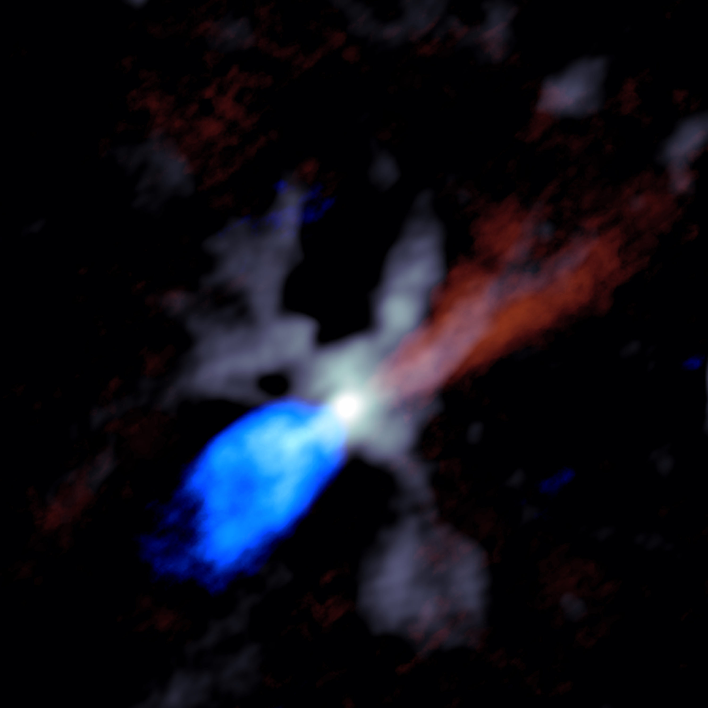 ALMA image of the chaotic scene around a massive young protostar, in this case one called W51e2e. Grey shows dust close to the star, while the red and blue indicate material in the jets moving rapidly outward from the star. Red shows material moving away from Earth and blue material moving toward Earth. Credit: Goddi, Ginsburg, et al., Sophia Dagnello, NRAO/AUI/NSF.