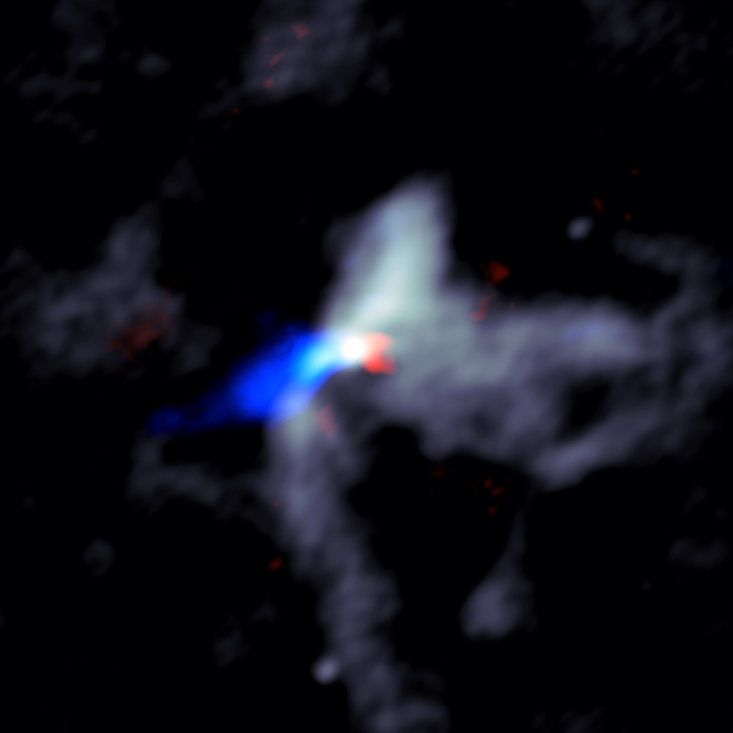 ALMA image of the chaotic scene around a massive young protostar, in this case one called W51e8 . Grey shows dust close to the star, while the red and blue indicate material in the jets moving rapidly outward from the star. Red shows material moving away from Earth and blue material moving toward Earth. Credit: Goddi, Ginsburg, et al., Sophia Dagnello, NRAO/AUI/NSF.